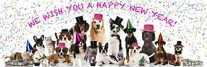 Yappy New Year, hope yours is purrfect! Yappy New Year, hope yours is purrfect!