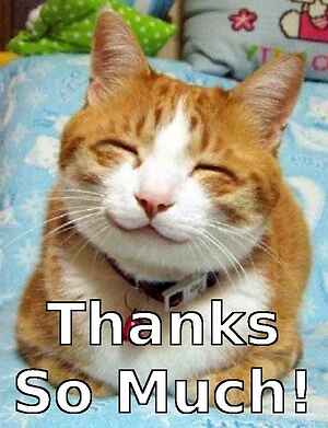 A very Big Thank You A very Big Thank You