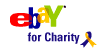 Ebay for Charity