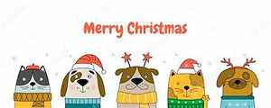 Happy Christmas to you all Happy Christmas to you all
