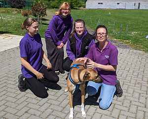Volunteers needed Volunteers needed