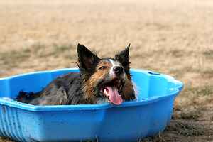 Here comes Summer! Here comes Summer!